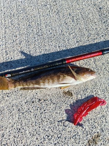 三陸海岸（岩手）