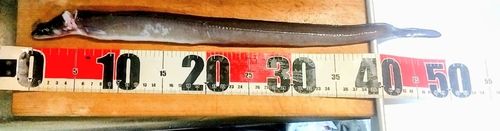 野見潮ばかり公園