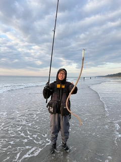 ダイナンウミヘビの釣果