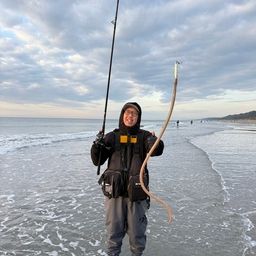 ダイナンウミヘビ