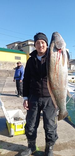 オオニベの釣果