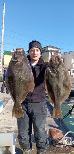 ヒラメの釣果
