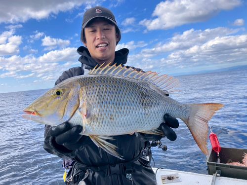 ハマフエフキダイの釣果