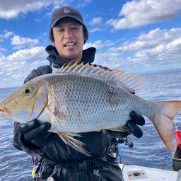 ハマフエフキダイ