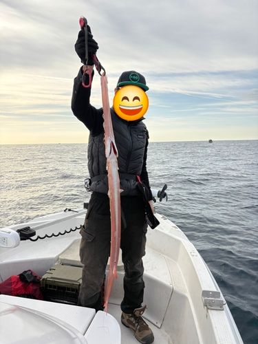 アカヤガラの釣果