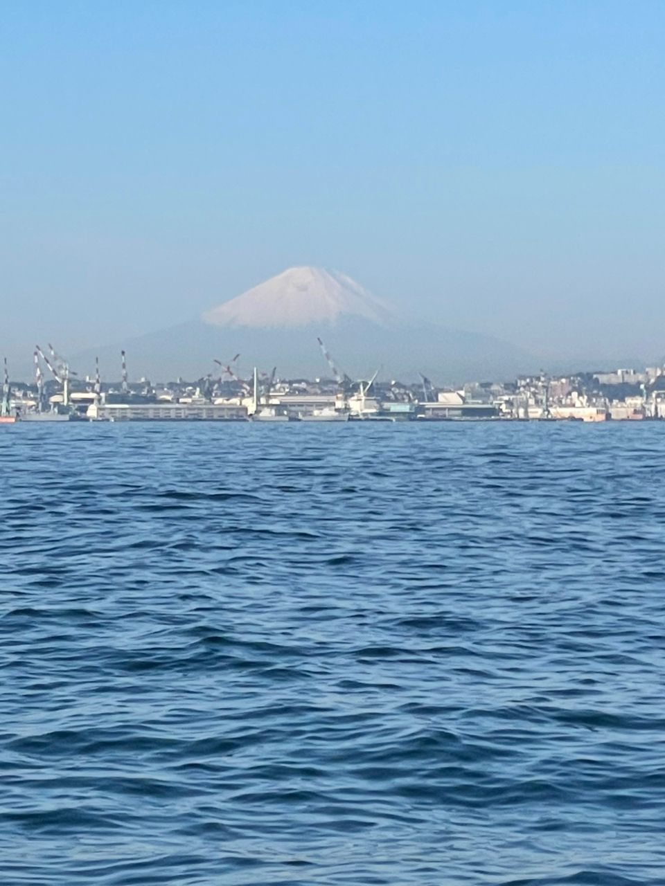 金沢八景のつり吉さんの釣果 3枚目の画像