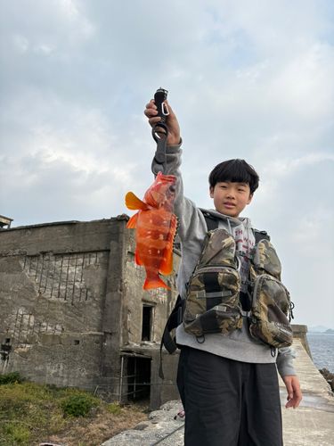 アカハタの釣果