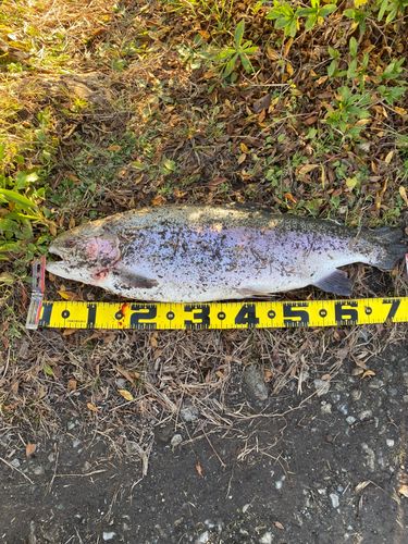 東山湖フィッシングエリア
