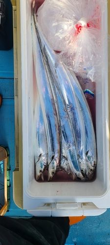 三陸海岸（宮城）