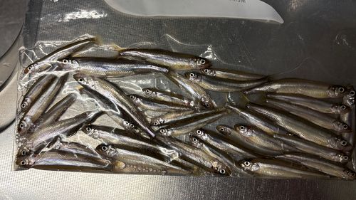 野尻湖（長野）