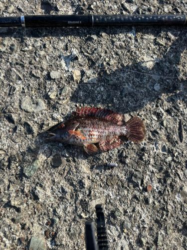 湯河原海浜公園