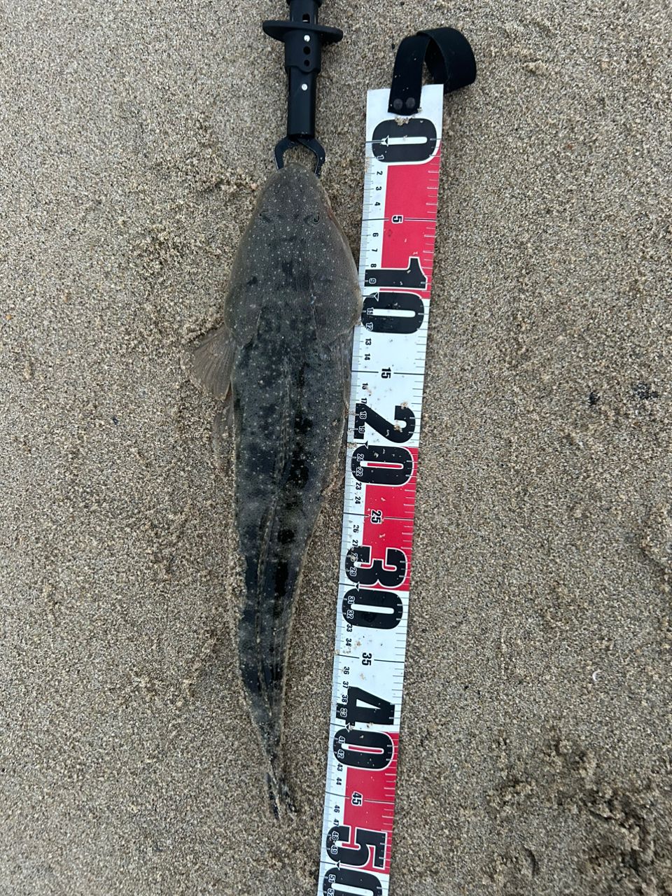 SHIMANO 23ディアルーナ S106Mの最安値・インプレ・釣果 | 本音の