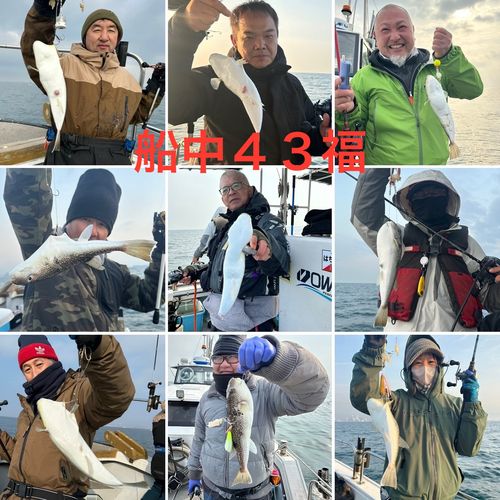 ショウサイフグの釣果