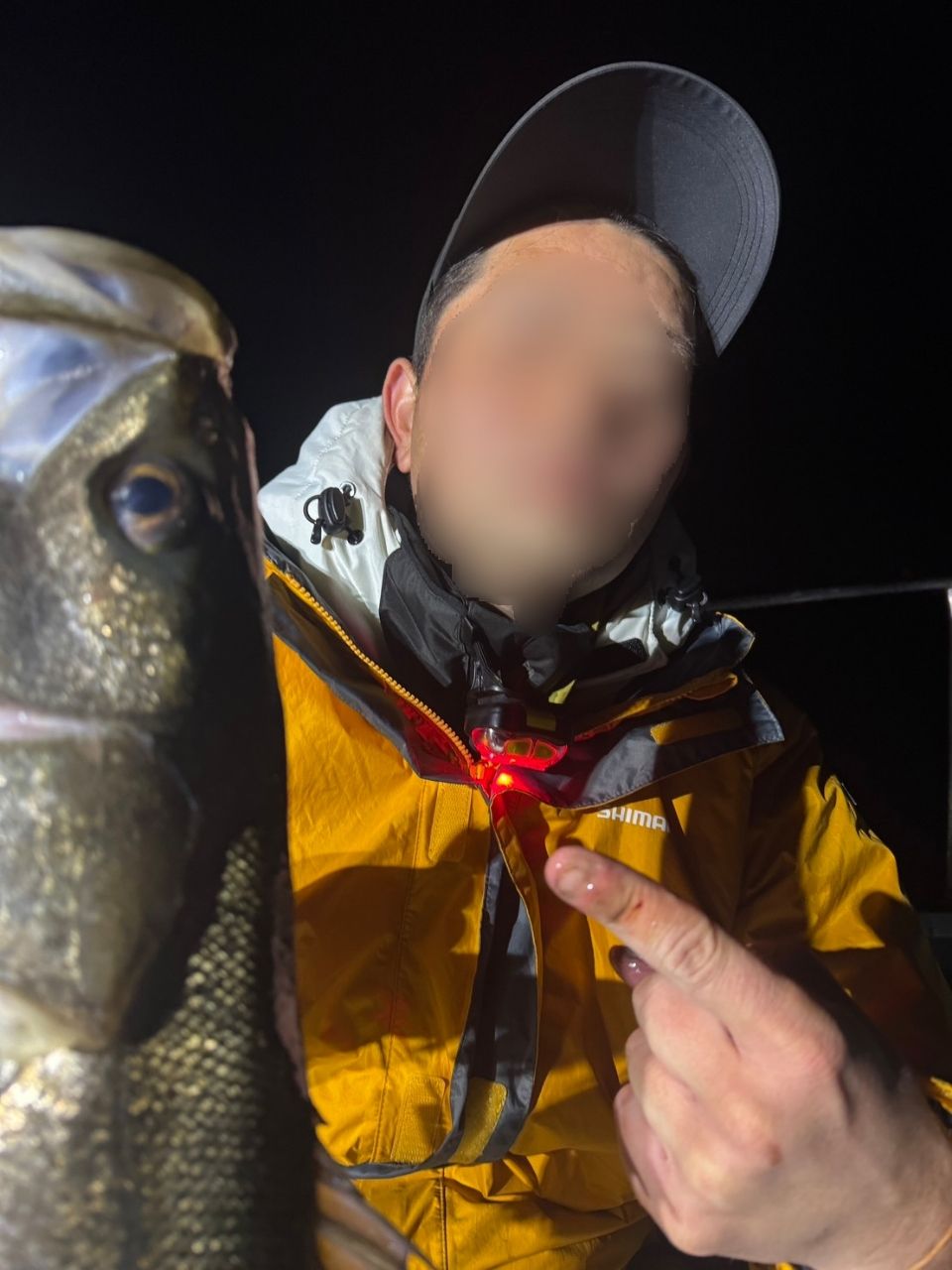 海なし県の素人アングラーさんの釣果 2枚目の画像
