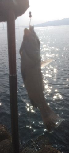 アジュール舞子