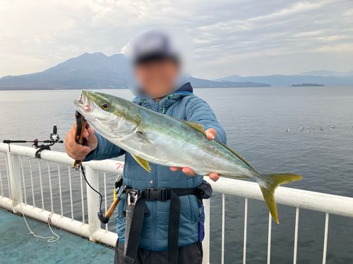 鴨池海づり公園