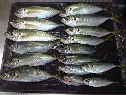 小名浜港市場前