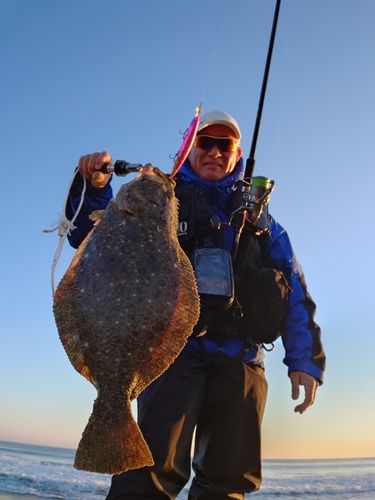 ヒラメの釣果