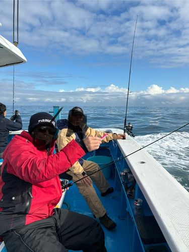 タチウオの釣果