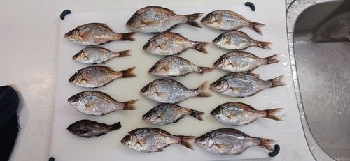 金沢水際線緑地（福浦岸壁）