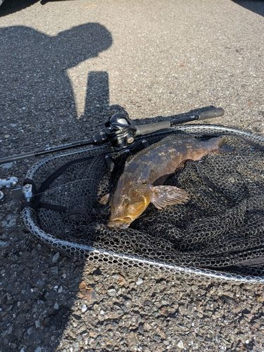 三陸海岸（岩手）