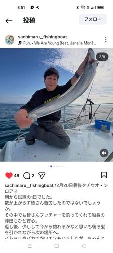 タチウオの釣果