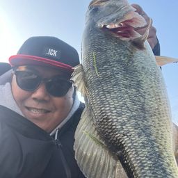 ラージマウスバス