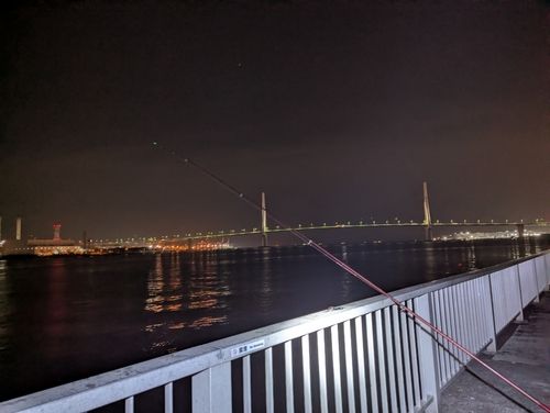 東京湾（アクアライン〜富津）