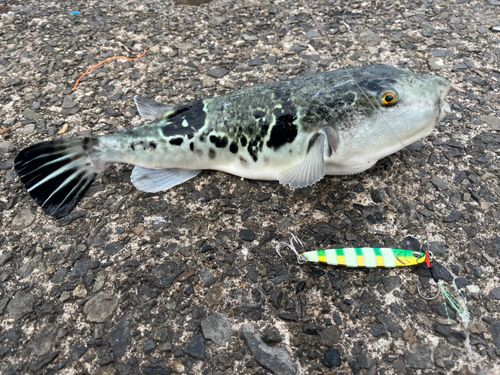 鞠山海遊パーク