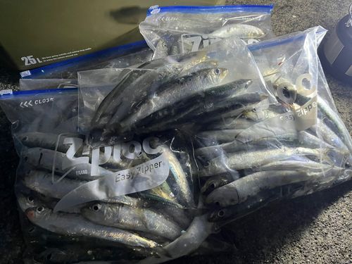 小名浜港市場前