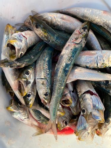 小名浜港アクアマリンふくしま周辺