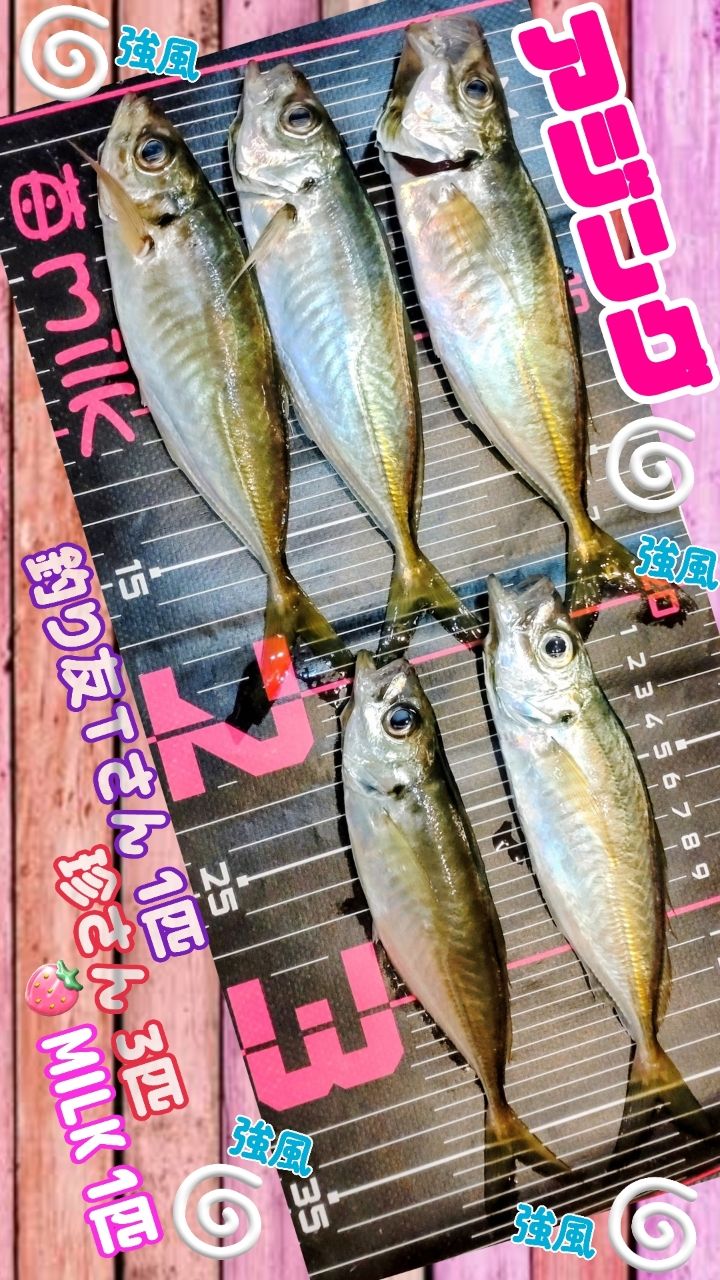 DAIWA 22月下美人 EX 74UL-Sの最安値・インプレ・釣果 | 本音の口コミ