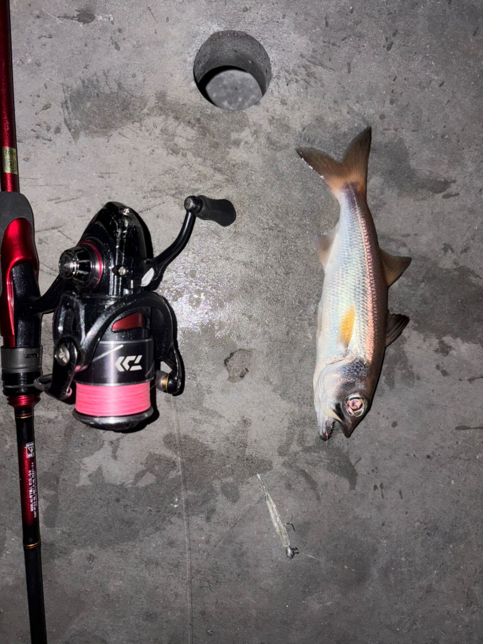 DAIWA 23月下美人 AIR 73ULB-T・Wの最安値・インプレ・釣果 | 本音の