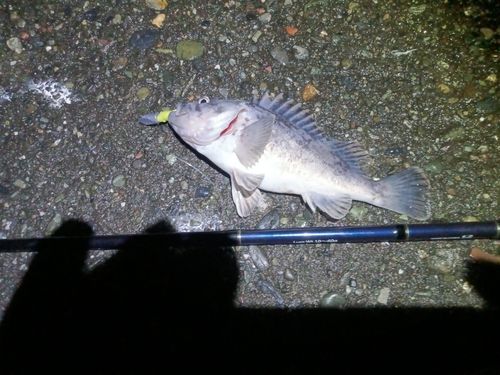 キラキラ公園（苫小牧西港）