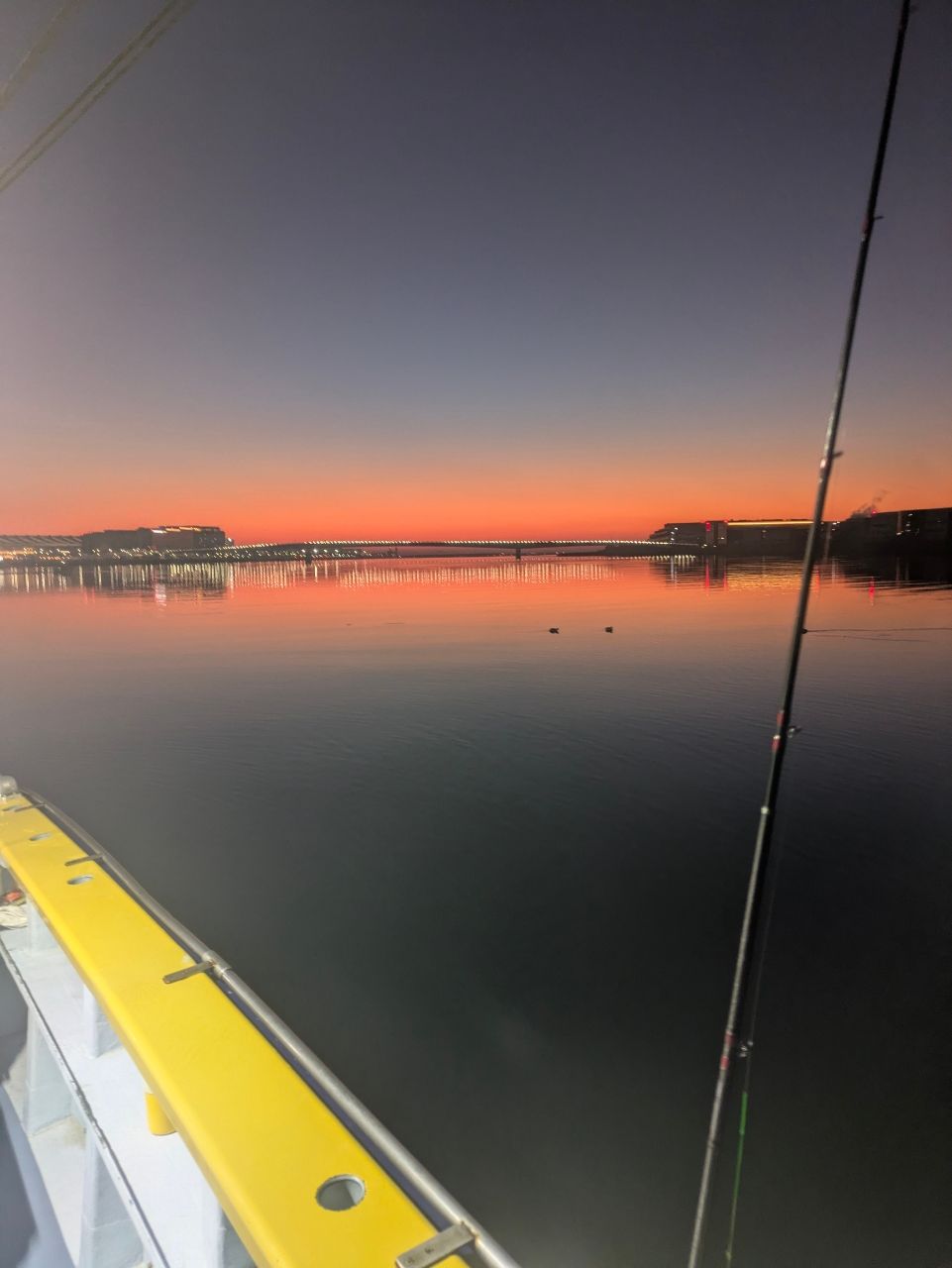 多摩野鯊太郎さんの釣果 2枚目の画像