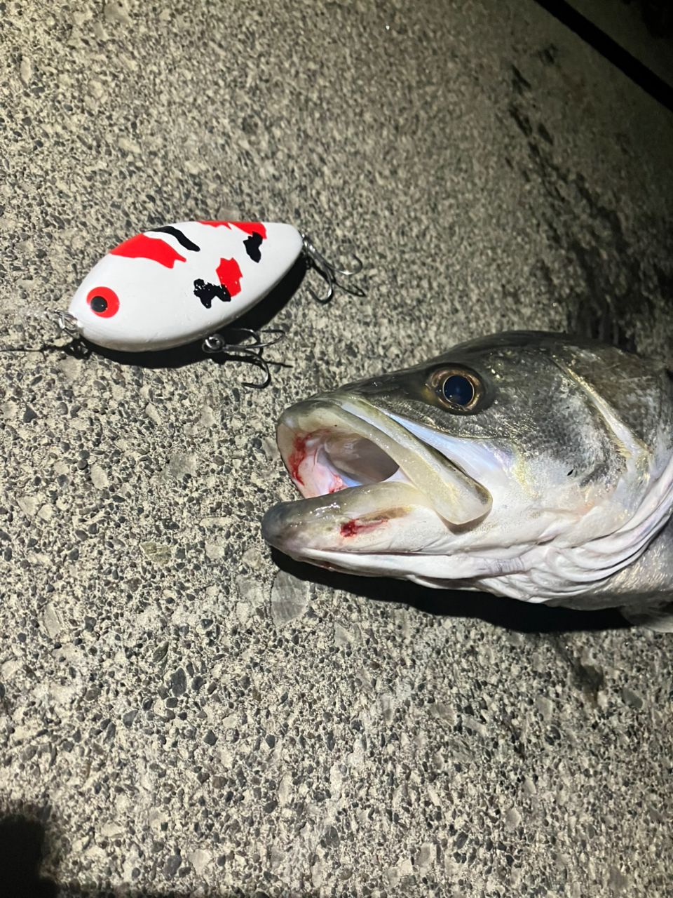 ダイワ　21ラブラックスAGS 96MH・N DAIWA（釣り） 21 ラブラックス AGS 96MH LABRAX シーバスロッド - 最