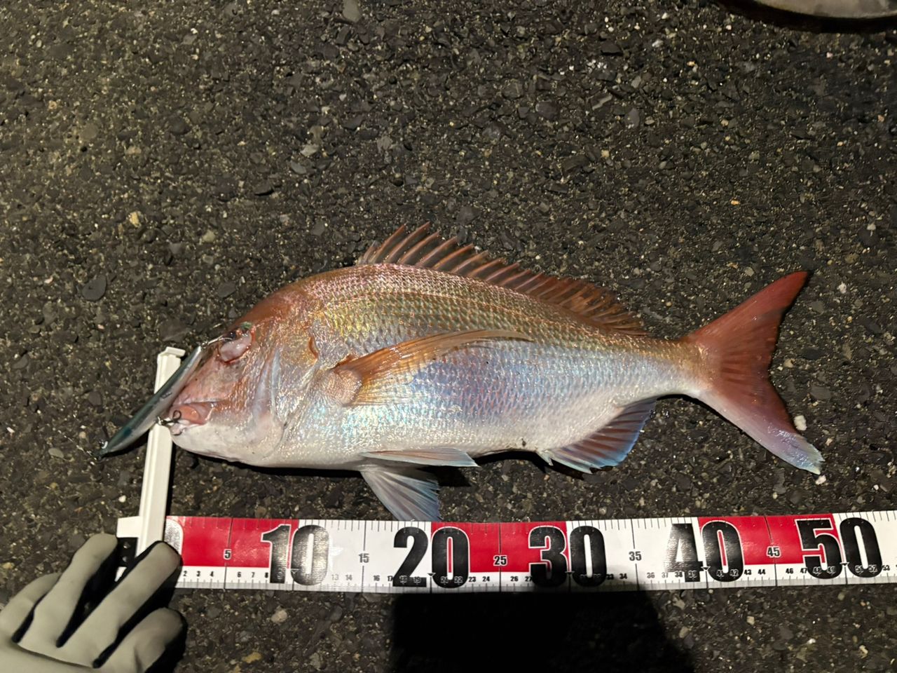 SHIMANO 20ネッサ エクスチューン S108M+の最安値・インプレ・釣果