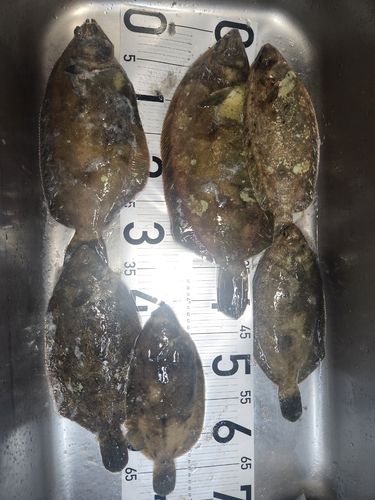 三陸海岸（岩手）