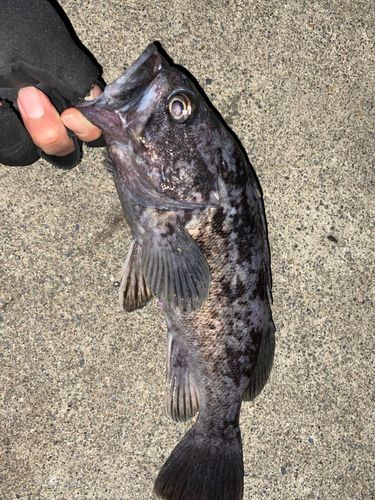 三陸海岸（岩手）