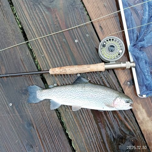 フィッシングサンクチュアリ