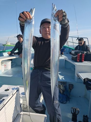 タチウオの釣果