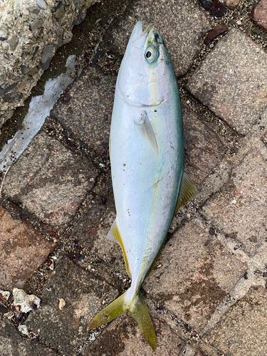 関門海峡（山口）