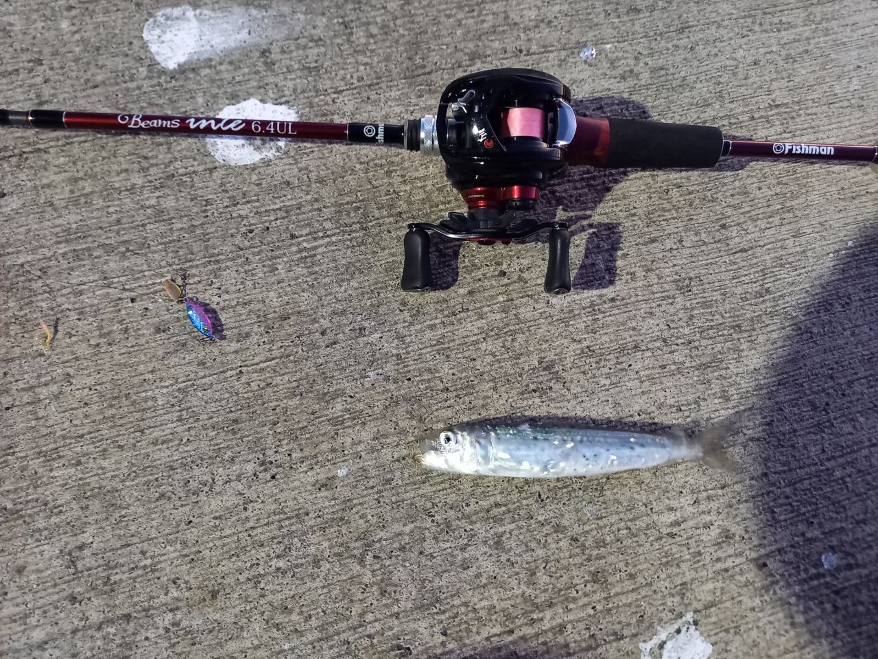 DAIWA 21月下美人 AIR TW PE SPECIAL 8.5Lの最安値・インプレ・釣果