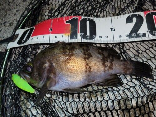 小名浜港アクアマリンふくしま周辺