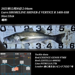 シーバスの釣果