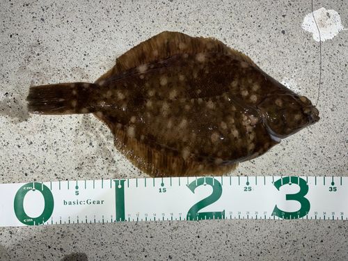 船越湾（岩手）