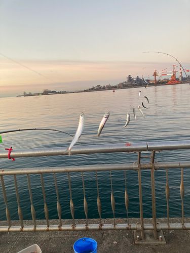 東京湾（アクアライン〜富津）