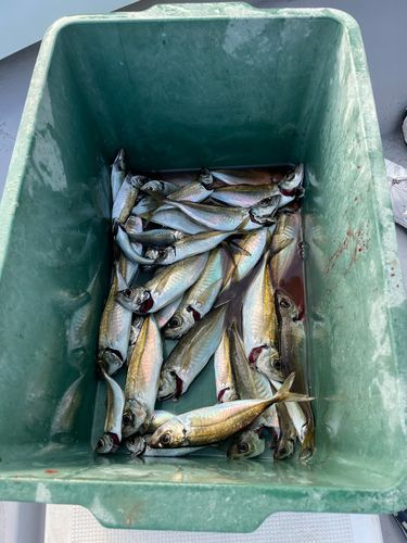 長浜港（伊予）