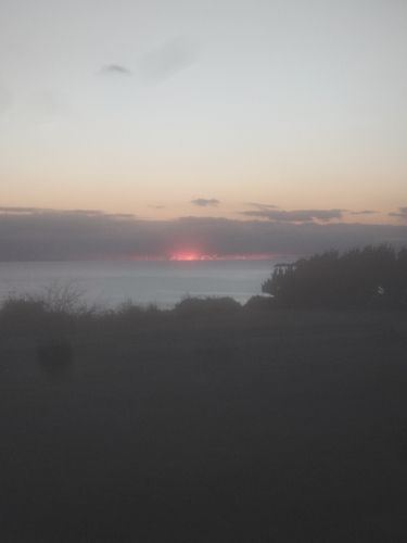 大房岬自然公園