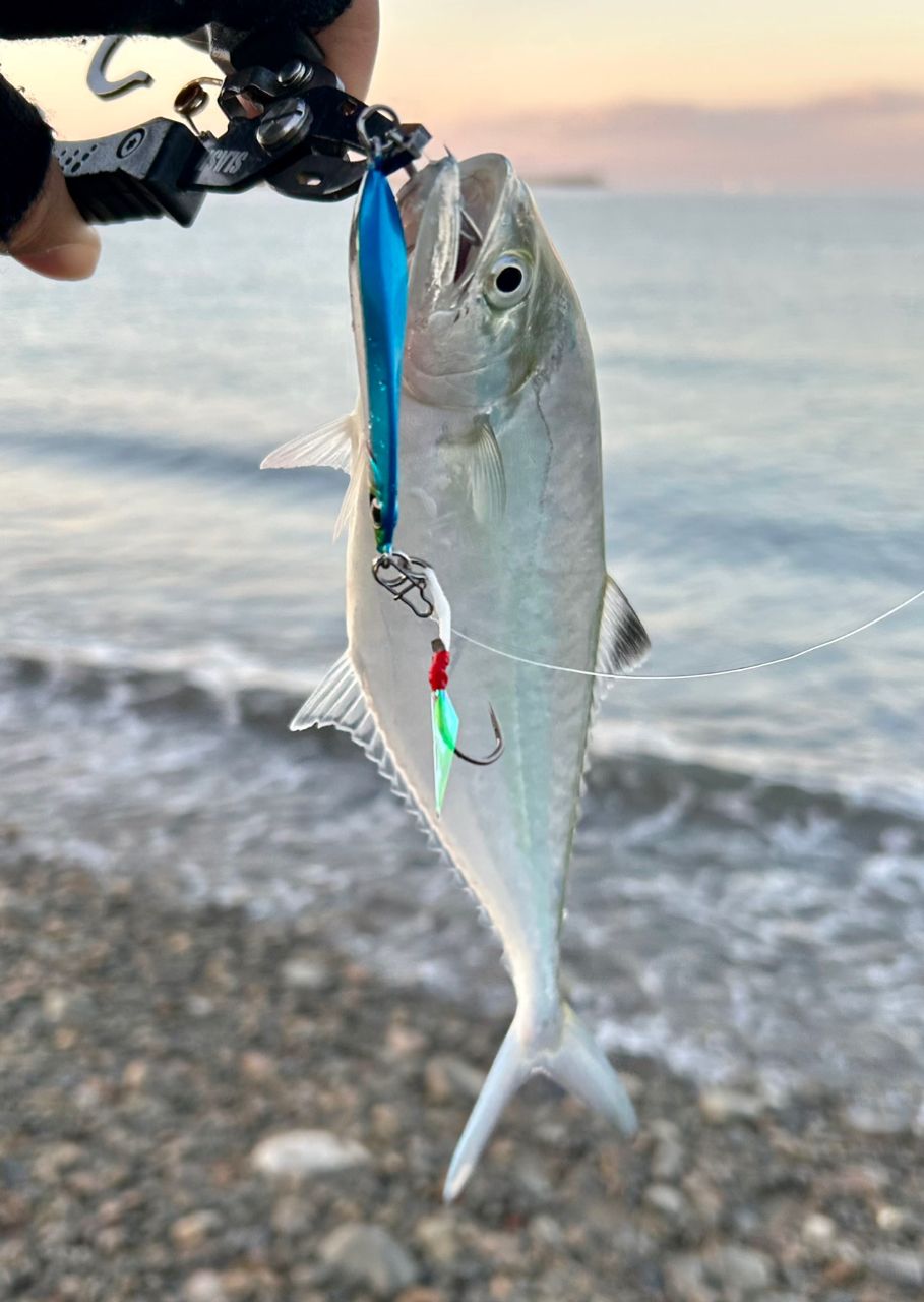 SHIMANO 19エンカウンター S96MLの最安値・インプレ・釣果 | 本音の